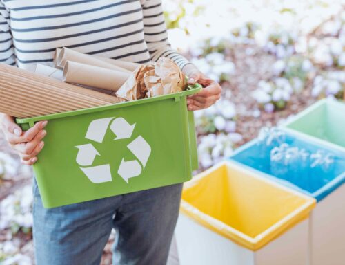 Eco-Friendly Disposal: How Dumpster Rentals Promote Sustainable Waste Management